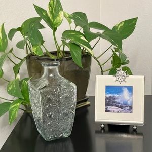 Glass Canister Vase